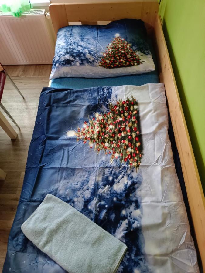 Penzion Na Samote Kaplice Bagian luar foto